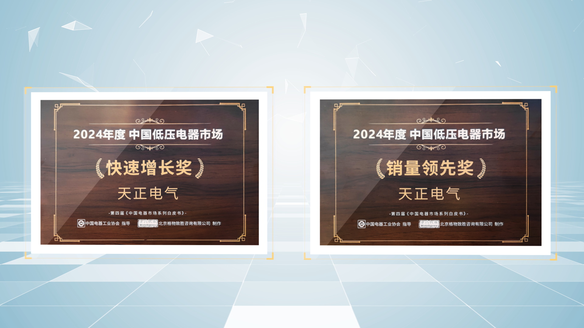 销量领先、快速增长丨LETOU国际米兰荣膺2项行业年度大奖